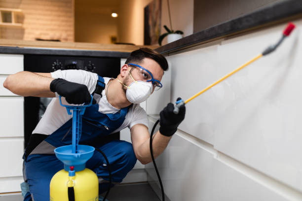 Best Pest Control Near Me  in Agua Dulce, CA