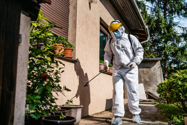 Pest Control Cost in Agua Dulce, CA