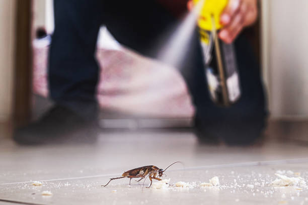 Agua Dulce, CA Pest Control Company