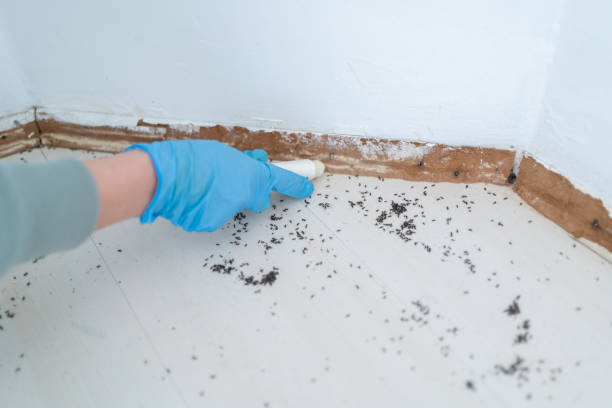Best Wildlife Control Services  in Agua Dulce, CA