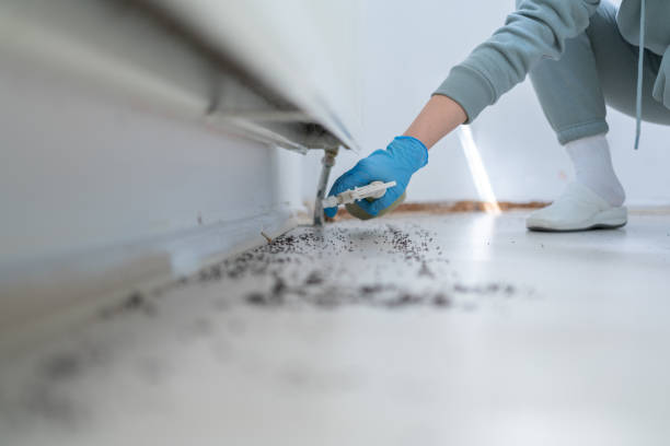 Best Cockroach Control Services  in Agua Dulce, CA